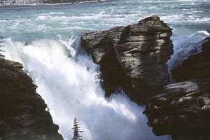 Athabasca Falls