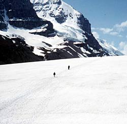 Columbia Ice Field