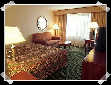 room.jpg