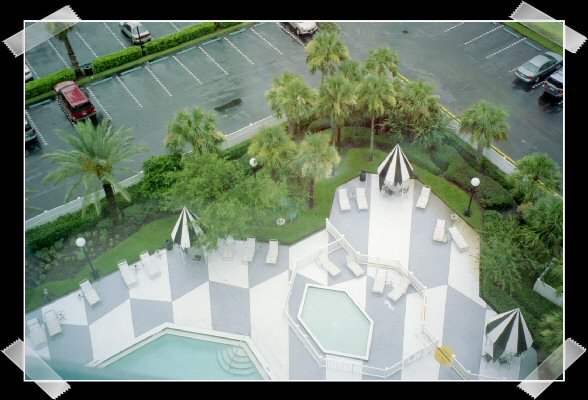orlando15.jpg