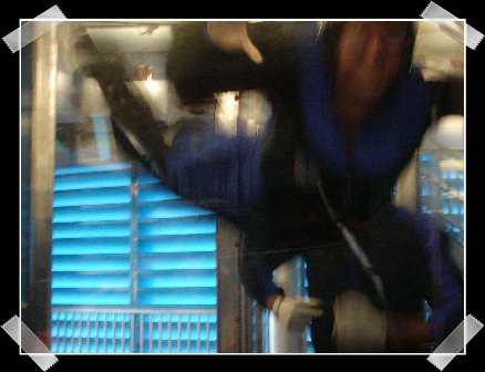 reneeflying.jpg