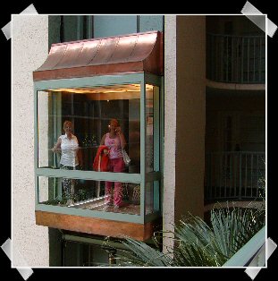 tampa11.jpg