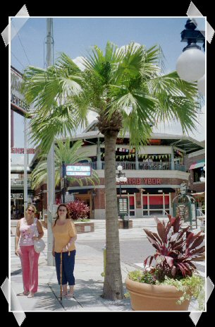 tampa32.jpg