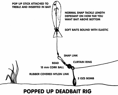 Popped Up Deadbait Rig