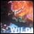 WDW: Animal Kingdom