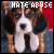 I hate: animal abuse