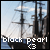 Pirates of the Caribbean: the Black Pearl