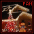 christmas lights