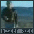Sting: "Desert Rose"