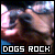 Dogs & Puppies