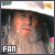 The Lord of the Rings: Gandalf 