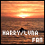 Harry Potter: Harry Potter + Luna Lovegood (still not sure if it'll be Ginny or Luna..but I like H/L better)