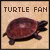 turtles