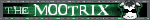 The Mootrix