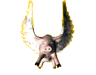 Flying Piggy!!!