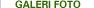 galeri foto