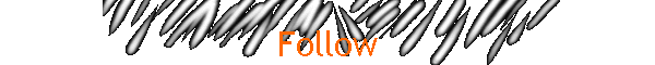 Follow