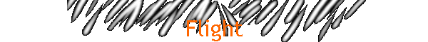 Flight