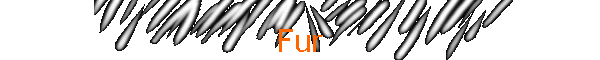 Fur