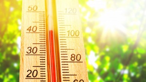 Calor do Brasil