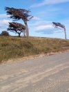 ...trotzen sie dem w�tenden Wind...