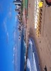 der Strand von Mar del Plata