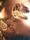 im Museum von El Choc�n
