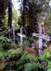 ...Isla de los Muertos