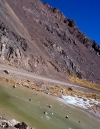 ...gefrorene Teiche und Guanacos,...
