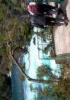 Saltos Petrohue