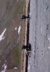 gleiches Schicksal f�r Mopped...
