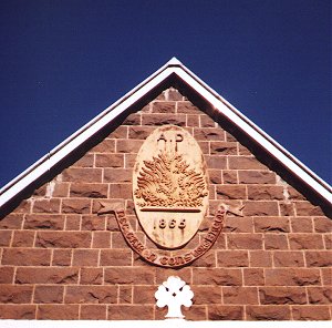 Detail