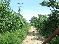 Road after kampung cibuaya