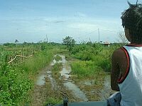 0,75 km to Pangumbahan (offroad..!!)