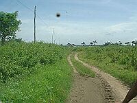 0,5 km to Pangumbahan (after offroad..!!)