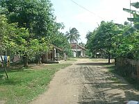 Kampung cibuaya