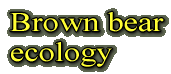 Brown bear ecology