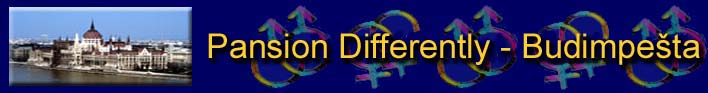 Welcome to the Pension Differently, Gay Accommodation Budapest Hungary, Gay Guide Budapest Hungary!