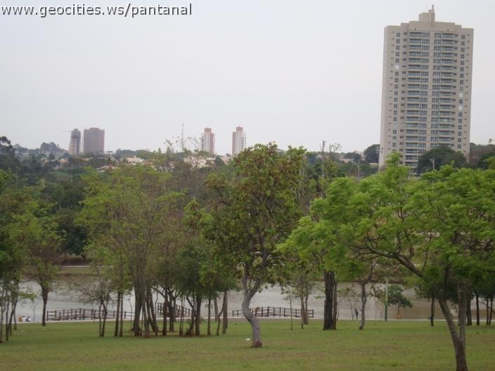 008_geocities_ws_pantanal.jpg