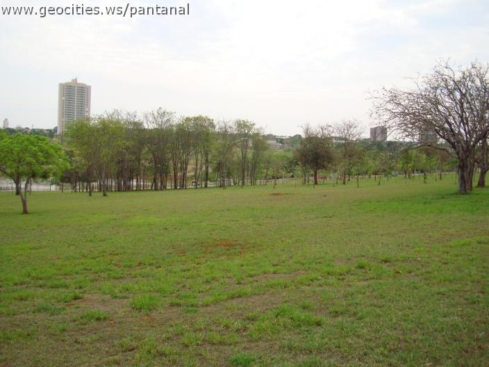 009_geocities_ws_pantanal.jpg