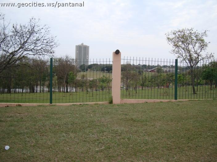 012_geocities_ws_pantanal.jpg