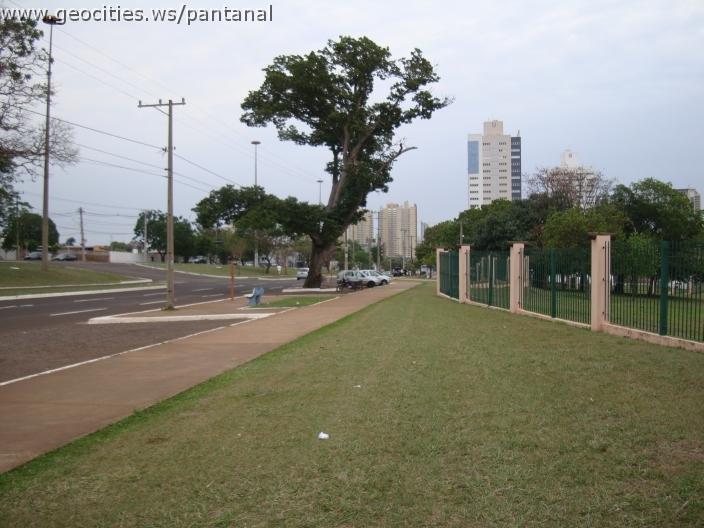 014_geocities_ws_pantanal.jpg