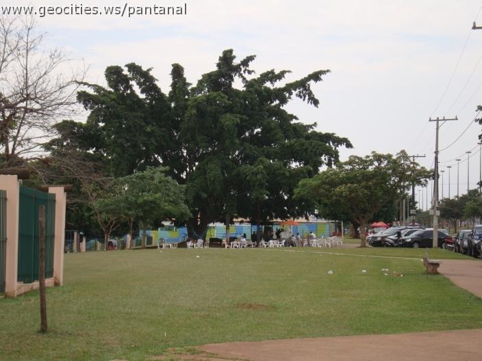 022_geocities_ws_pantanal.jpg