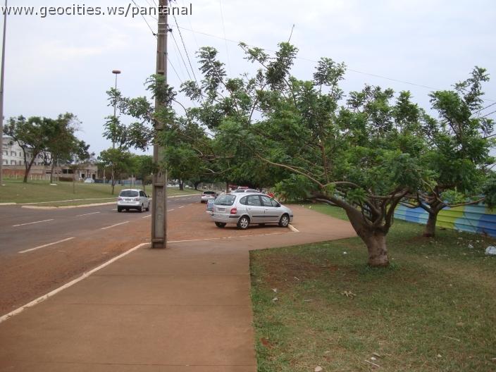 045_geocities_ws_pantanal.jpg