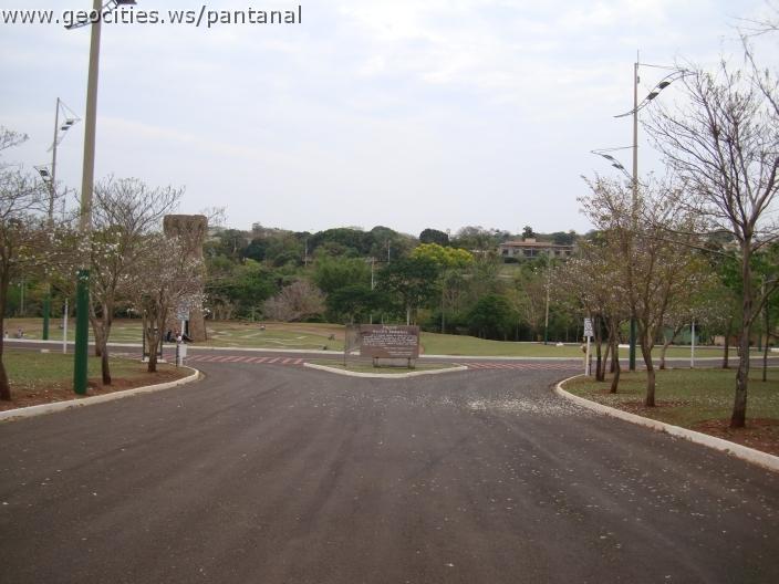 063_geocities_ws_pantanal.jpg