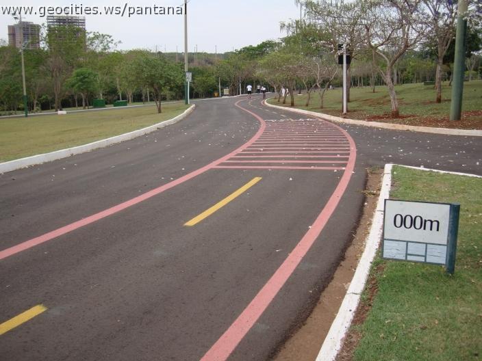080_geocities_ws_pantanal.jpg