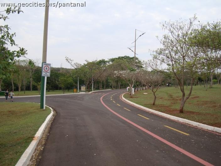 081_geocities_ws_pantanal.jpg