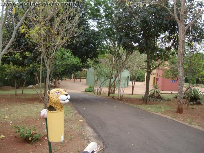 086_geocities_ws_pantanal.jpg