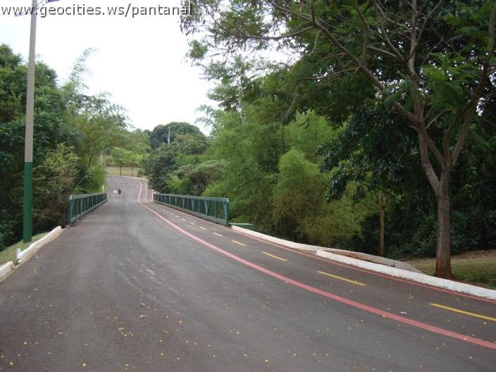 114_geocities_ws_pantanal.jpg