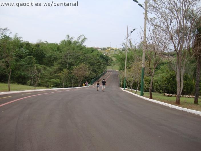 121_geocities_ws_pantanal.jpg